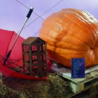 В царстве тыкв. :: Татьяна Помогалова В царстве тыкв. :: Татьяна Помогалова