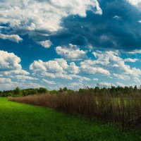 В поле. :: Андрей Андрианов