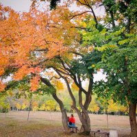 Осень в сентябре :: Надежда Осень в сентябре :: Надежда