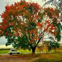 Цветной масштаб :: Артём 