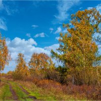 **** :: Алексей Мезенцев