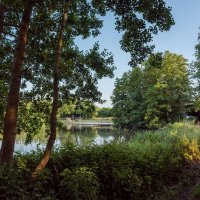 *** :: Николай Гирш *** :: Николай Гирш