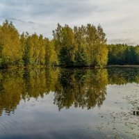 Цвет осени 6 :: Андрей Дворников Цвет осени 6 :: Андрей Дворников