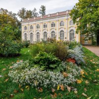 Про Питер :: Владимир Колесников