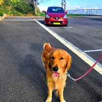 РЫЖИК :: Анатолий Малобродский