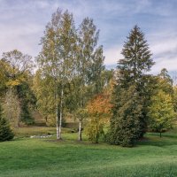 Осень :: Владимир Колесников