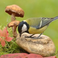 ... :: Вячеслав Минаев ... :: Вячеслав Минаев