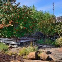 *** :: Александр Хаецкий *** :: Александр Хаецкий