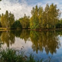 Цвет осени 7 :: Андрей Дворников Цвет осени 7 :: Андрей Дворников