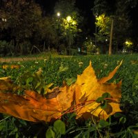 Осень в Городе :: юрий поляков Осень в Городе :: юрий поляков