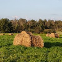 Стога у д.Скново :: Артем 