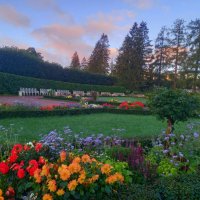 Рассвет :: Сапсан 