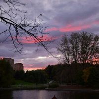 Парк Дружбы :: Мария Яковлева