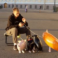 на Дворцовой :: zavitok *