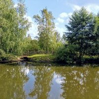 На пруду :: Veera V