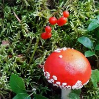 Красная шапочка! :: Нина Андронова Красная шапочка! :: Нина Андронова