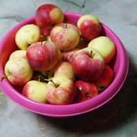 Доморощенные сибирские. :: сергей ермошкин