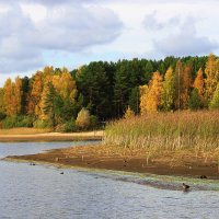 Осенний пейзаж :: Александр Щеклеин