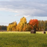 осенние поля :: Виктор Ковчин