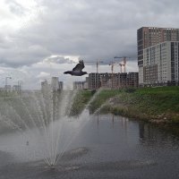 зарисовка :: Елена Шаламова