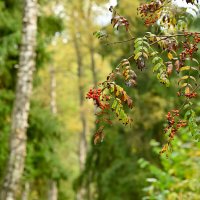 * :: Вадим * :: Вадим