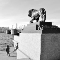 "Львы населяют в основном травянистые саванны.." :: AleksSPb Лесниченко "Львы населяют в основном травянистые саванны.." :: AleksSPb Лесниченко