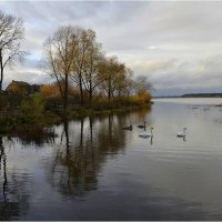 Пришла прекрасная пора... :: Aleksandr Gal