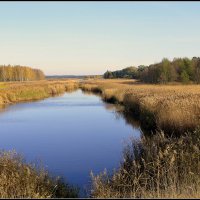 *** :: Aleksandr Gal