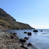 Природа Крыма :: Amazing Cosmea