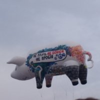 СПБ...Концерт Р. Уотерса на Дворцовой...Запуск свинки... :: vadim 