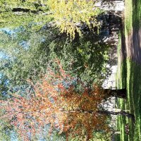 Мой город :: Венера Чуйкова Мой город :: Венера Чуйкова