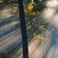 пейзаж :: Владимир 