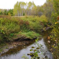 Осенний день :: Сергей Ц