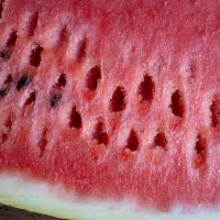 Арбуз :: Александр Синдерёв