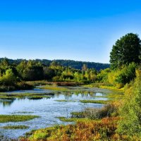 Смоленщина в конце сентября. :: Милешкин Владимир Алексеевич 