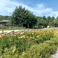 Прогулка по зоопарку :: Veera V