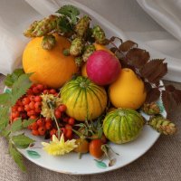 Дары осени :: Любовь Сахарова