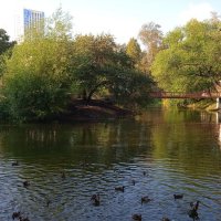 Харитоновский парк :: Елена Шаламова