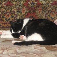 После прогулки :: Людмила Смородинская