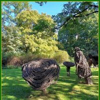 Причудливые скульптуры на газоне. :: Ольга Довженко