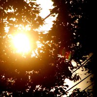 Утро :: олег свирский 