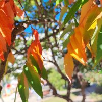 ,,, :: Сергей Тимоновский