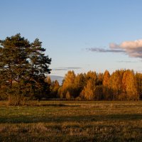 осень :: Владимир Зеленцов