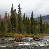 Ненастное утро...... :: Юрий Цыплятников