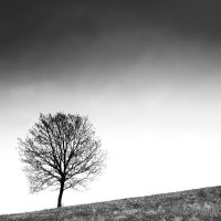 Перед грозой :: Котовский 