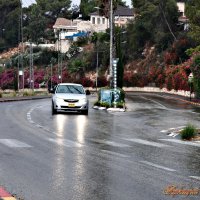 Ливень :: Аркадий Басович