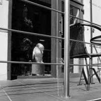 Птица из чего то :: M Marikfoto