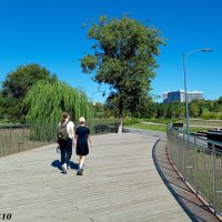 В ростовском экопарке Первая миля :: Нина Бутко В ростовском экопарке Первая миля :: Нина Бутко