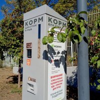 В ростовском экопарке Первая миля :: Нина Бутко