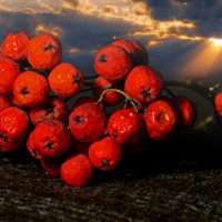 ********* :: Анатолий Уткин